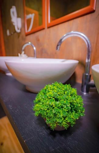 Praderas Los Peumos Glamping-Cabañas