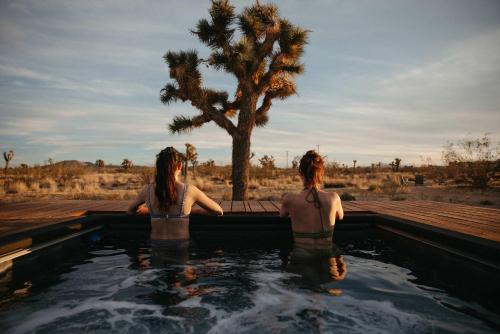 Joshua Tree Modern Cabin- Goat Mountain Rising