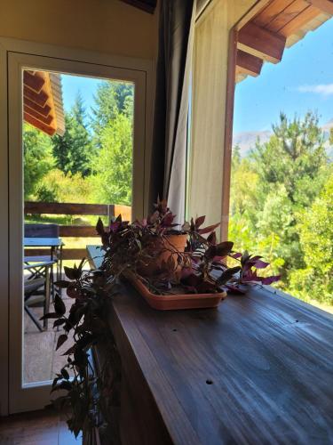 Aparts chalet Alquimia in Lago Puelo