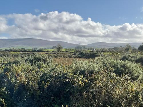 ทัศนียภาพ, Hazeltree Lodge in เอียสกี