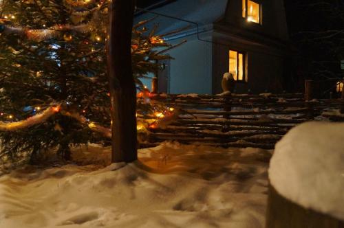 Usadba Okhotnichiy Dvor - image 4