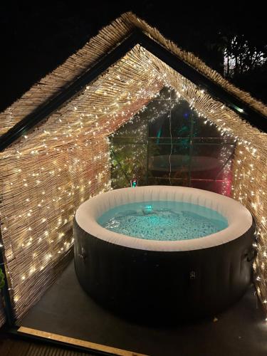Bumble Bee Cottage, Plymouth (fotografie 2)