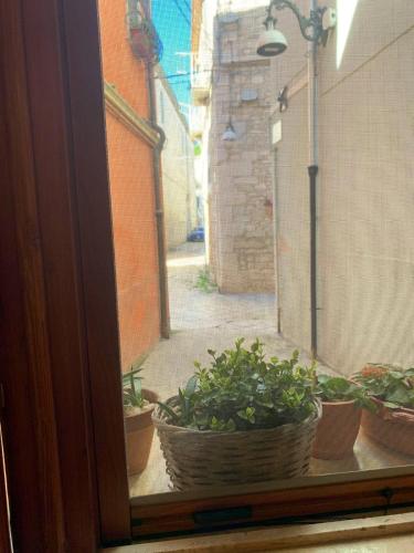 Hotelli välisilme, Da Minguccio in Venosa