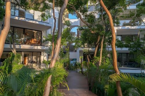 Yaaxlum Tulum - Image 2