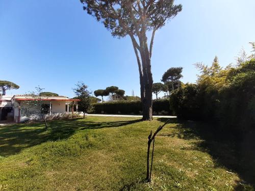 Villino Adele, San Felice Circeo (fotografie 3)