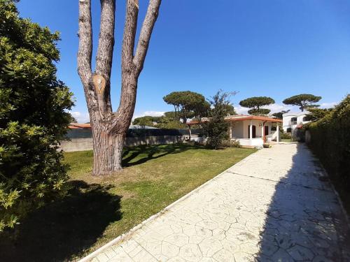 Villino Adele, San Felice Circeo (fotografie 7)