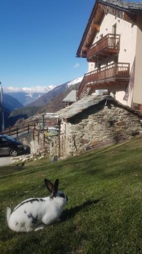 Restaurant e B&B Alpe Rebelle