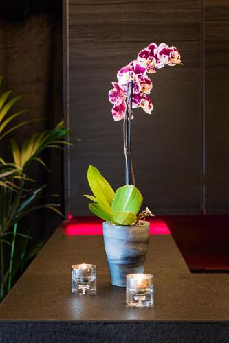 Hotel 55 - image 11