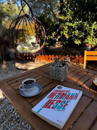 Sol's Place in Kedro (Lesvos)