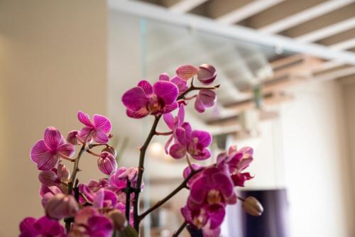 Time to Relax - Lago di Garda - Adults only