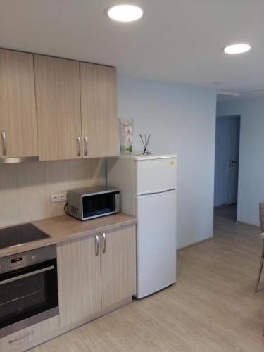 Apartment with private entrance, Šilute (fotografie 7)