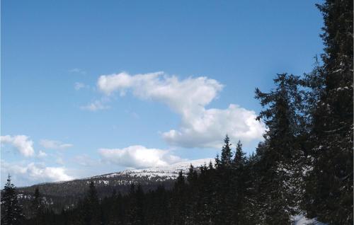Cozy Home In Sjusjøen With Sauna in Sjusjoen