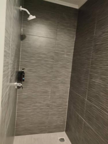 2 Double Bed including 1 double sofa bed Studio at Epsom, Auckland (fotografie 6)