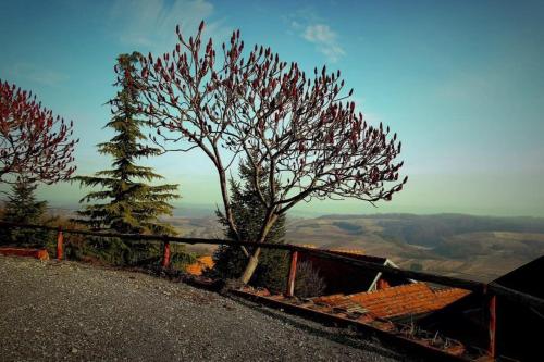 Mi-Ma Land in Marija Bistrica
