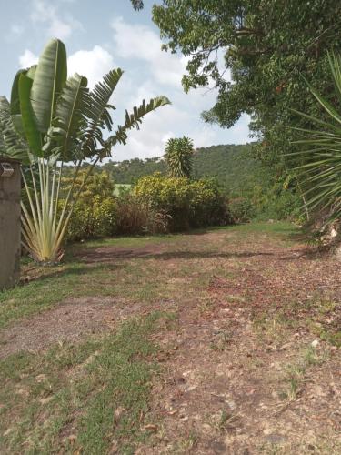 La Plus Grande Source D'eaux Chaudes " Guadeloupe " in Bouillante