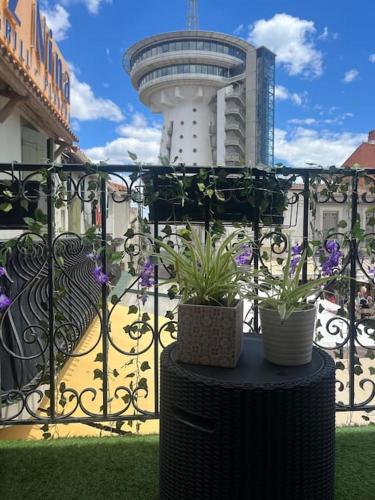 jolie maison de pêcheurs gîte à louer Phare de la méditerranée