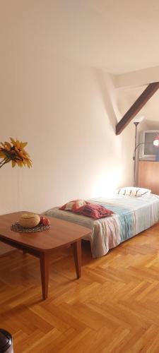 Hakuna Matata - Room in Budapest - Near Buda Castle, Parliament and Margaret Island, Budapest (Foto 8)