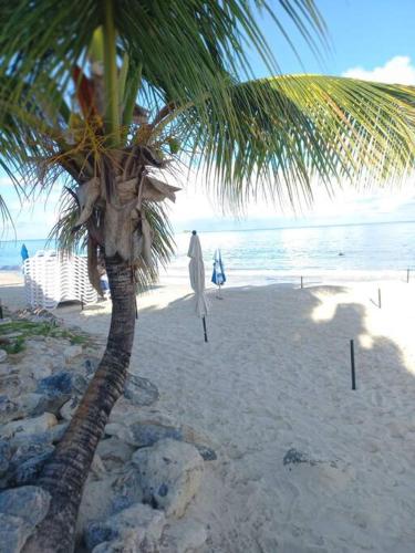 BlissVacay Couples or Singles Tropical Vacay Retreat in Potters Village