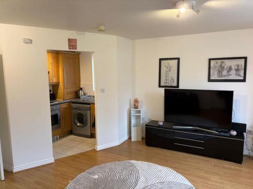 Stylish 1 Bed Apartment, Kings Heath, Birmingham, Birmingham (fotografie 10)