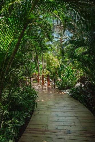 Brand new PH Relaxing is a must in Cruz de Huanacaxtle, Mexico