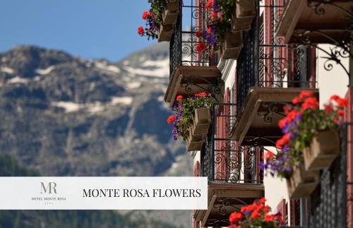 Monte Rosa Boutique Hotel - image 7
