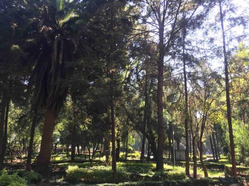 Departamento Parque Hundido in Mexico City, Mexico