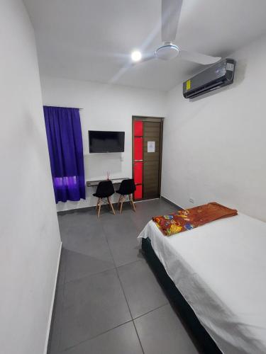 El cedro in Sta Lucia