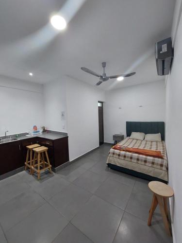 El cedro in Sta Lucia