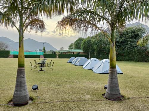 Apkārtne, WILD RIDGE SARISKA RESORT in Viratnagar