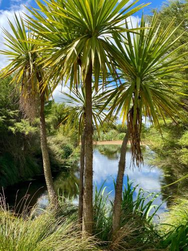 Cosy guest house in Feilding