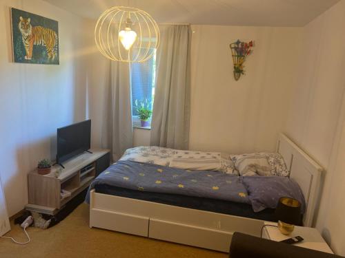 Dein Privat Zimmer in meiner Wohnung