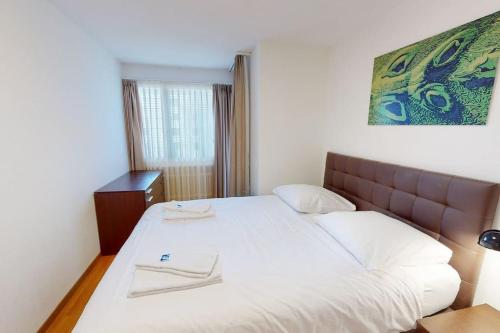 Executive 1BD flat city center - Hösch 4, Curych (fotografie 8)