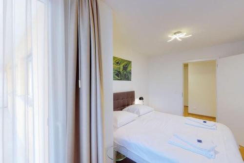 Executive 1BD flat city center - Hösch 4, Curych (fotografie 9)