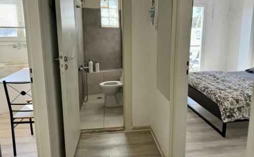 Starfish Seaside Studio