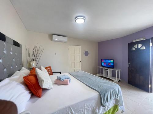 Skyline Suites, breathtaking mountains & city view apts, Montego Bay