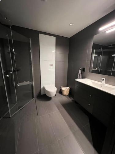 Helt ny leilighet ski in- ski out i Hemsedal in Hemsedal