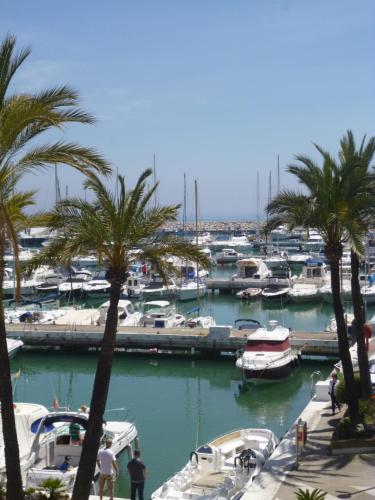 2108-Nice apt with pool close from beach and bars - image 4