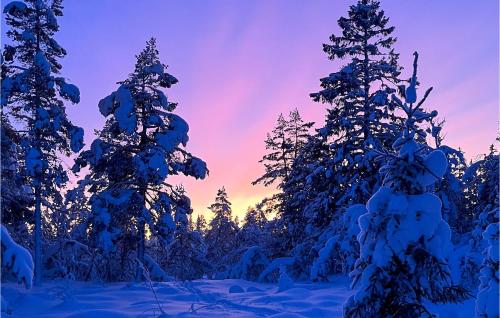 外部景觀, 3 Bedroom Nice Home In Gol in 市中心