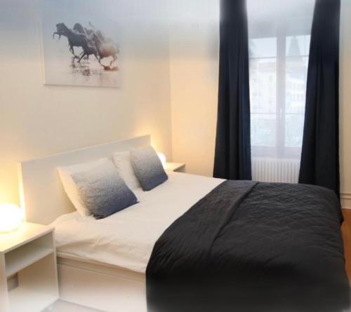 Appartement business, Genève (photo 4)
