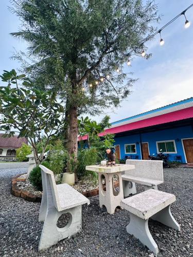 Garden, นิวเวฟภูเก็ต near Chaithararam Temple (Wat Chalong)