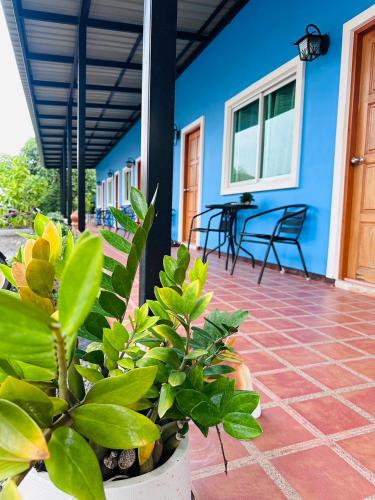 Balcony/terrace, นิวเวฟภูเก็ต near Chaithararam Temple (Wat Chalong)