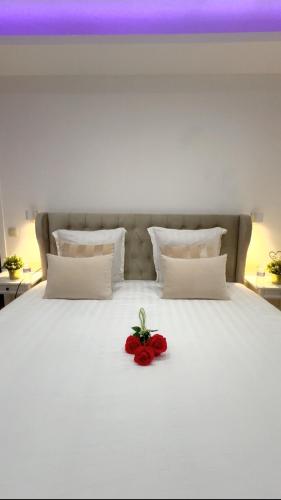 Sublime appartement Calme Cosy & Jacuzzi, Брюссель (фото 3)
