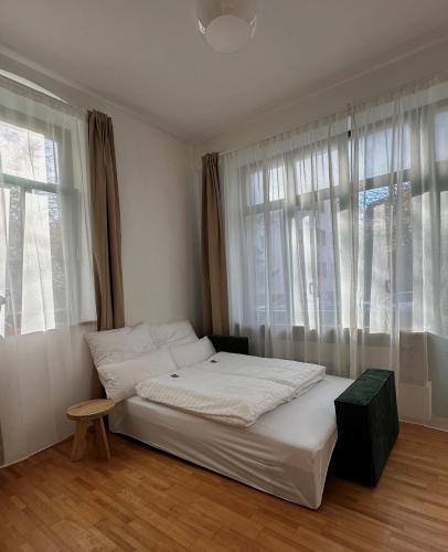 Charmanter Altbau, Drážďany (fotografie 3)