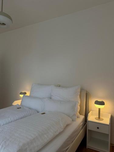 Charmanter Altbau, Drážďany (fotografie 10)