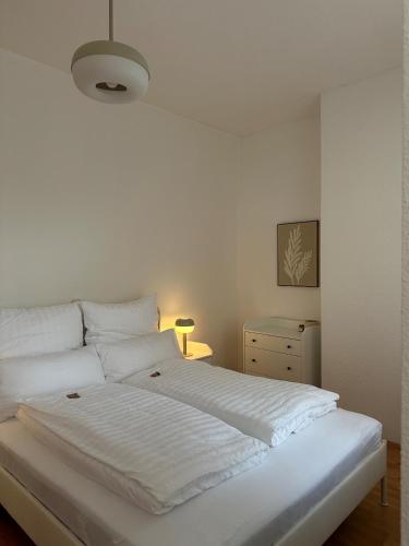 Charmanter Altbau, Drážďany (fotografie 9)