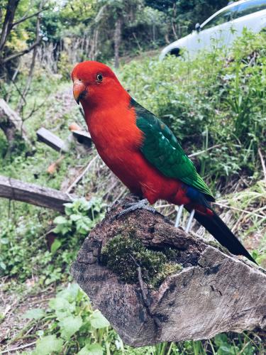 Getaway for 7 with King Bed and Open Fireplace Getaway for 7 with King Bed and Open Fireplace