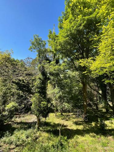 Getaway for 7 with King Bed and Open Fireplace Getaway for 7 with King Bed and Open Fireplace