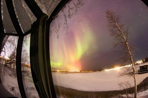 AuroraHut at Sauna Retreat, Rovaniemi (fotografie 4)
