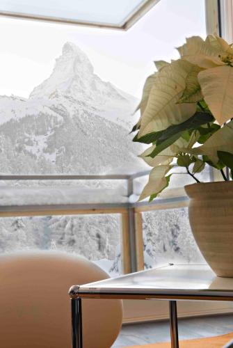 Chalet Altesse - Premium Apartments, Zermatt (photo 10)
