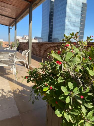 Εξωτερική όψη, Hotel Centro in Σαντάγιο Ντελ Εστέρο